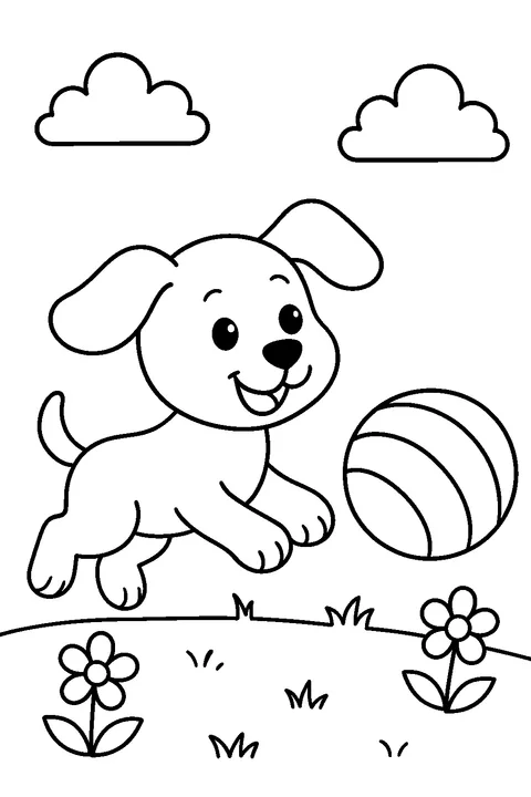 Animals