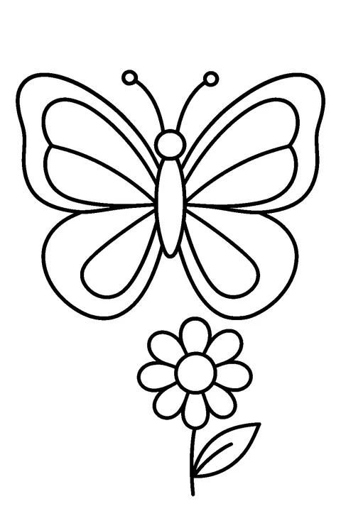 Beautiful Butterfly — Print PDF