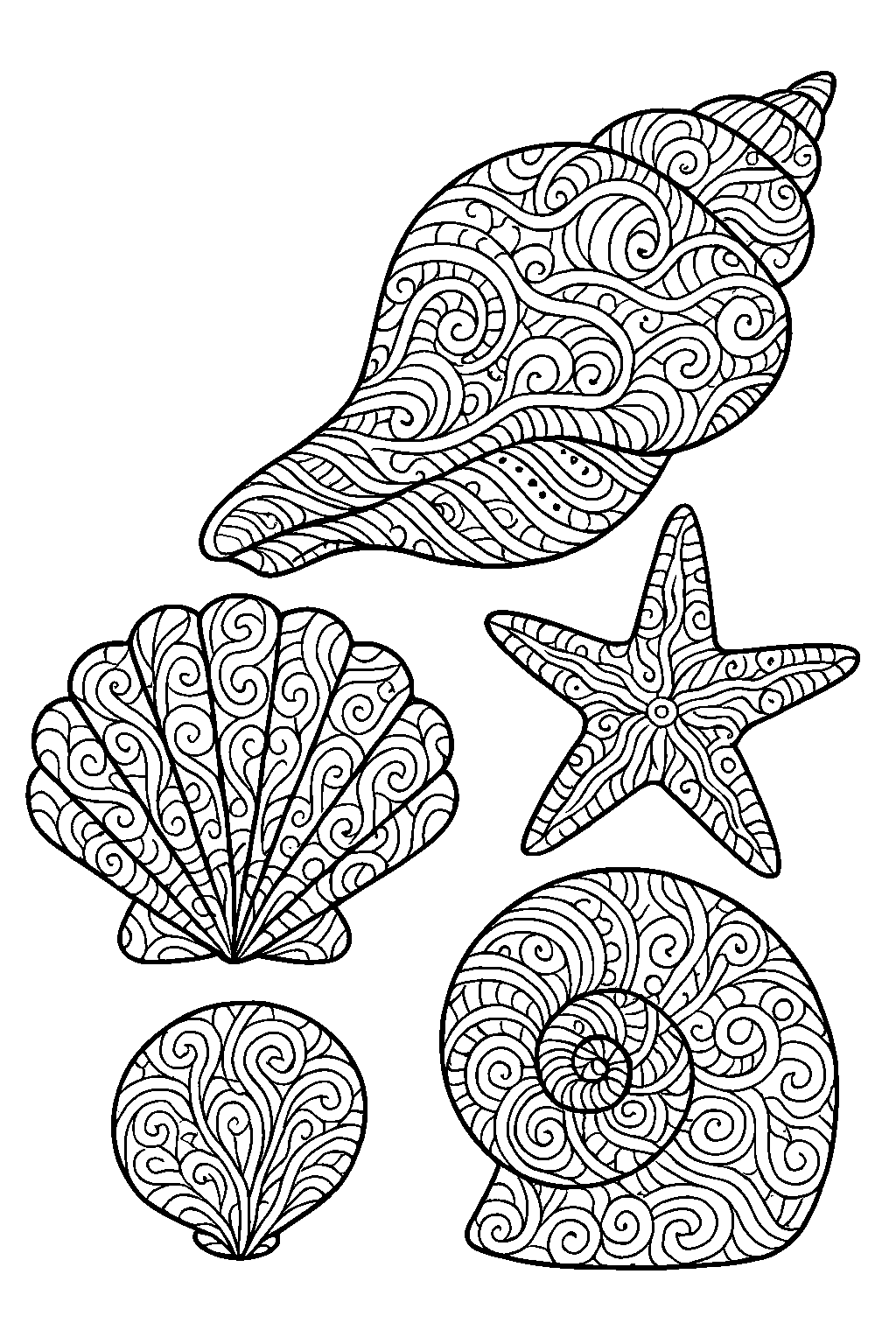 Conchas decorativas — dibujo para colorear e imprimir gratis