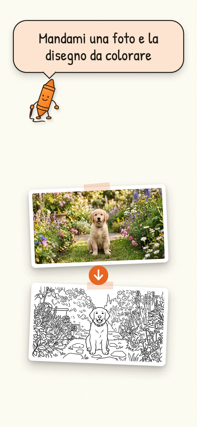 Doodly Pages app